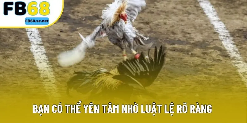 Bạn có thể yên tâm nhờ luật lệ rõ ràng và minh bạch