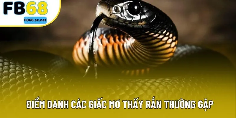 Điểm danh các giấc mơ thấy rắn thường gặp Điểm danh các giấc mơ thấy rắn thường gặp