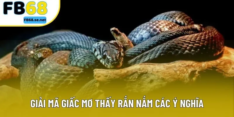 Giải mã giấc mơ thấy rắn nắm các ý nghĩa Giải mã giấc mơ thấy rắn nắm các ý nghĩa
