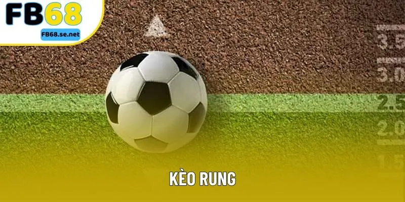 Kèo Rung - Cách Ăn Tiền Chi Tiết Và Nhiều Nhất Của Chuyên Gia